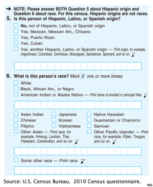 Photo shows a copy of the 2010 census questionnaire. The form is blue with check boxes and grids for the answers.  